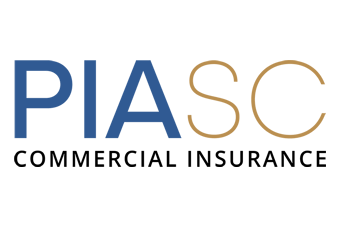 piasc-summary-filler-logo piasc-summary-filler-logo